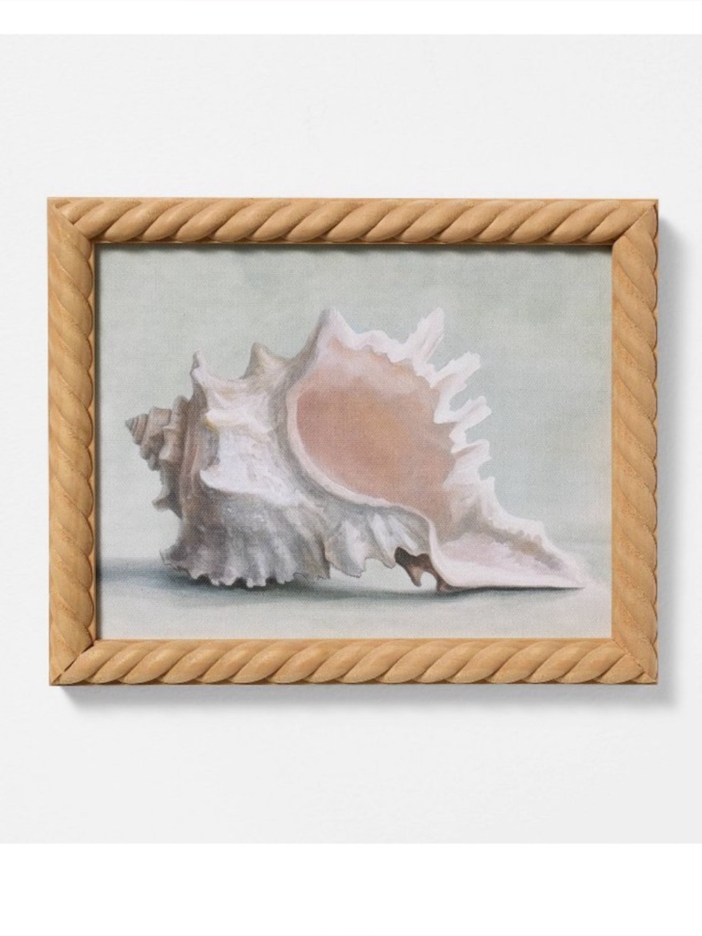 Threshold shell framed art